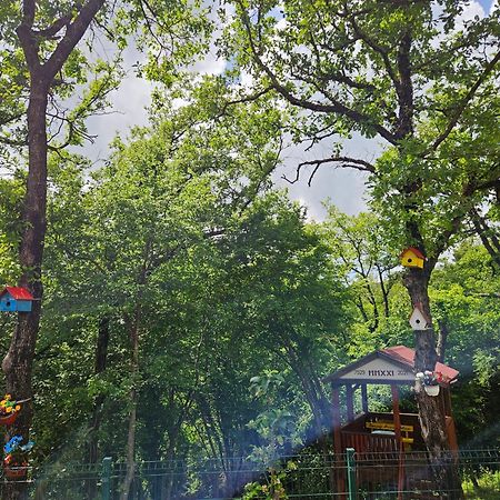 Villa Rada อิกาโล ภายนอก รูปภาพ